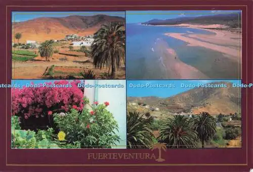 D299606 Fuerteventura. Toto. Vista Aerea de Jandia. Sofoto. Alvaro De Silva. J.