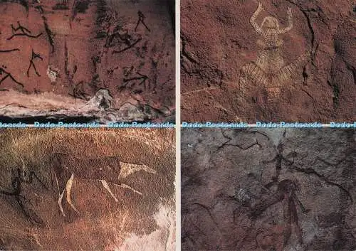 D299639 Drakensberg. Giant Castle Game Reserve. Davbar Dbh. Multi View