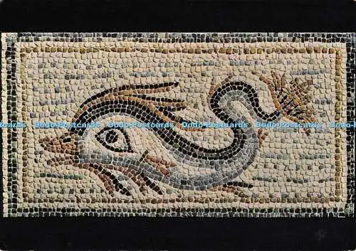 D299785 Aventicum. Avenches. Delfin Teil eines römischen Mosaikpflasters. R. Bersier