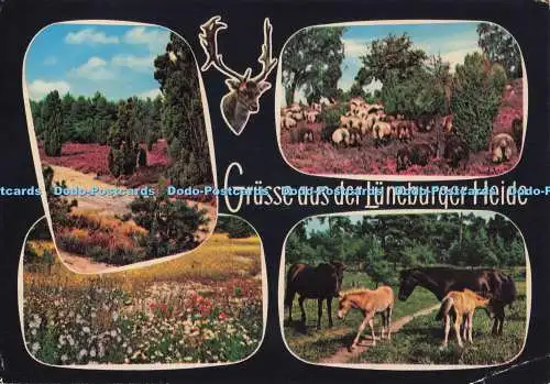D299797 Grusse aus der Lüneburger Heide. Rolf Hill. 1982. Multi View