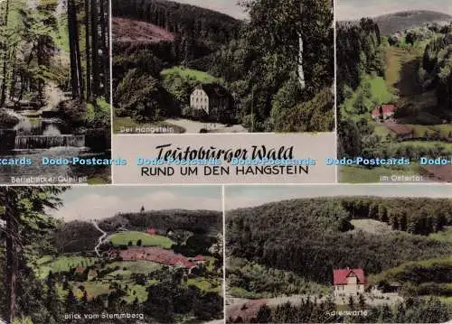 D299802 Teutoburger Wald. Rund um Den Hangstein. Blick Vom Stemmberg. Schoning.