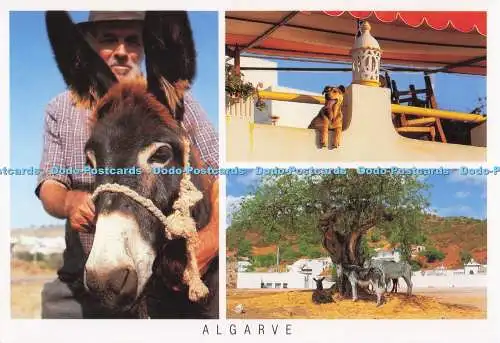 D299816 Algarve. Portugal. Vistal. Olimar. G. A. Wittich. W. Müller. Multi View