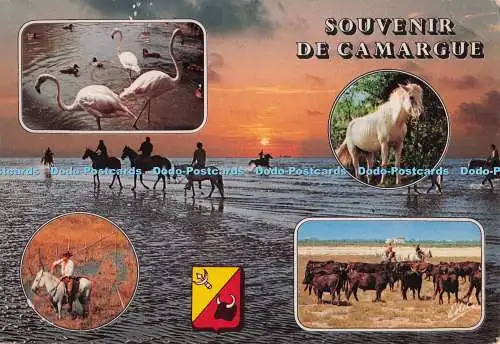 D299826 Souvenir De Camargue. Flamants. Estel. Leconte. PM. La Grande Motte. Ihre