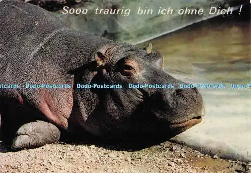 D300001 Sooo Trauring Bin Ich Ohne Dich Risch Lau Innsbruck Salzburg