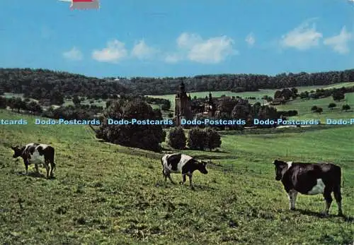 D300002 Kühe Postkarte
