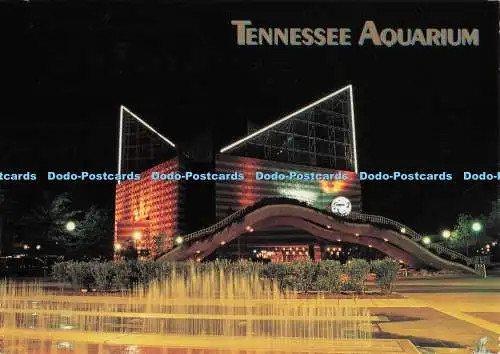 D300086 Tennessee Aquarium Aerial Photography Services Luis Martinez 1998