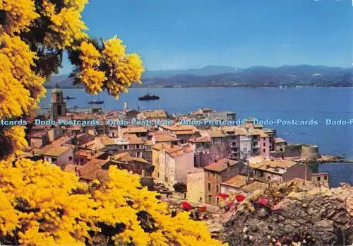 D300090 Carrefour Mondial du Tourisme Saint Tropez Vue Generale Mar 1980