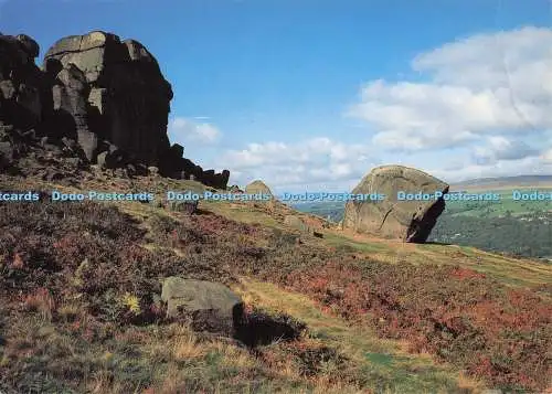 D300189 Ilkley Moor Cow and Calf Rocks Judges C 5945