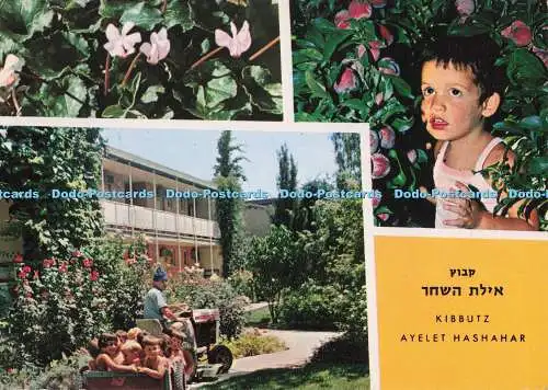 D300191 Kibbuz Ayelet Hashahar Guest House Palphot Multi View