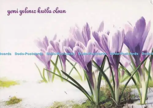 D300361 Yeni Yiliniz Kutlu Olsun PTT