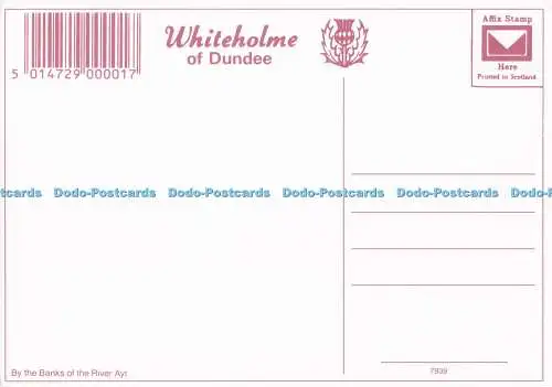 D300413 The River Ayr Whiteholme Dundee