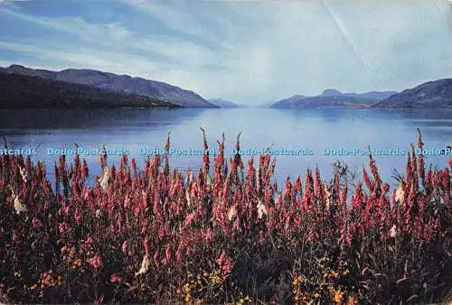D300424 Inverness Shire Fingerhandschuhe von Loch Ness J Arthur Dixon Newport I W Englan