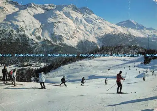 D300440 St Moritz Standard Run Mit Piz Rosatsch und Corvatsch Photo Max