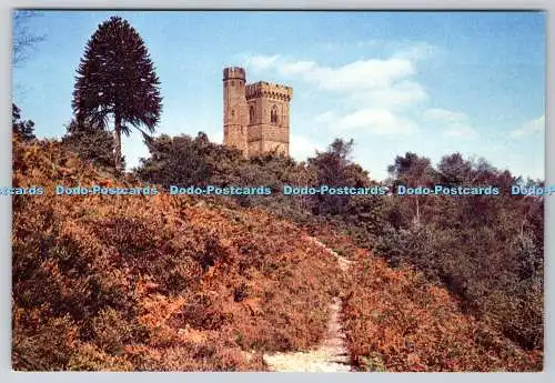 D303042 Leith Hill Tower Surrey J Arthur Dixon Studios Postkarte