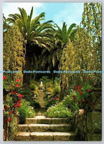 D306412 Isles of Scilly Tresco Gardens F E Gibson St Marys Beric Tempest Farbe
