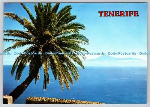D309047 Teneriffa Teide von La Gomera Collection Perla Proceso P A G S A Gar aus gesehen