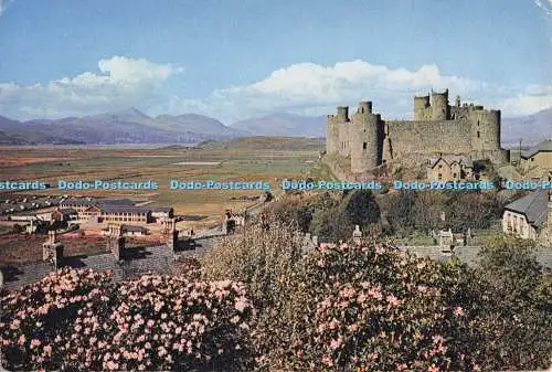D300481 Merionethshire Harlech Castle J Arthur Dixon Newport I W England