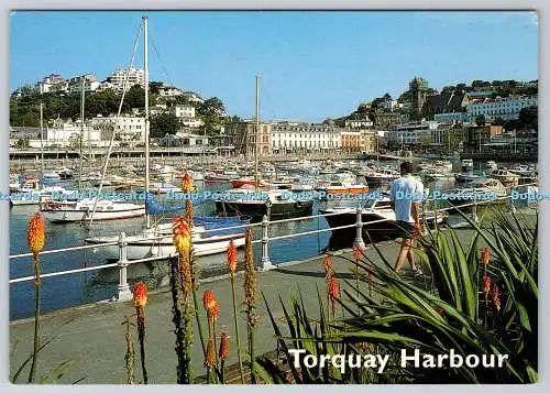D303090 Torquay The Inner Harbour J Salmon Ltd Sevenoaks Kent