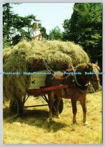 D306447 Suffolk Stowmarket The Museum of East Anglian Life Haymaking Jarrold Nor