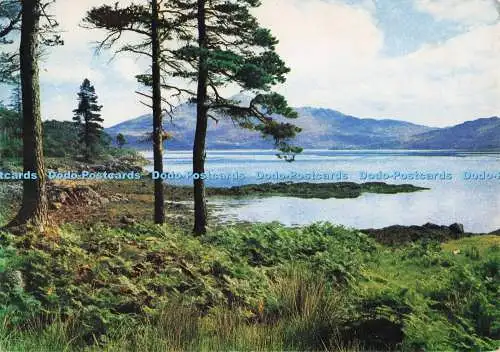 D300489 Argyll Loch Sunart Near Salen J Arthur Dixon
