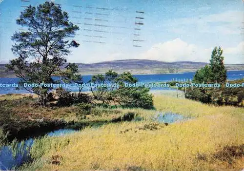 D300492 Loch in Dorb J Arthur Dixon