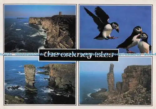 D300520 The Orkney Isles Papageientaucher Old Man of Hoy J Arthur Dixon PM Kirkwall 1988 M