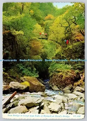 D306512 Eisenbrücke in der Schlucht nahe Falls of Mynach an der Teufelsbrücke Valentine Dund