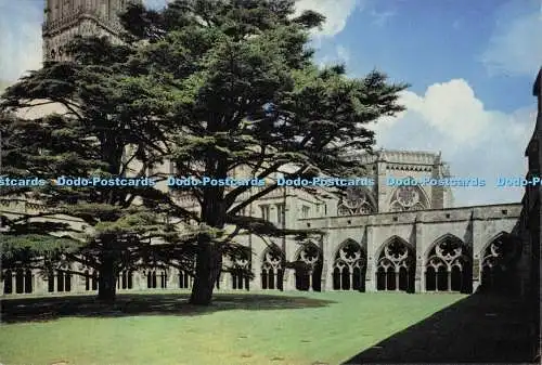 D300560 Salisbury Cathedral The Cloisters J Arthur Dixon Newport I W England