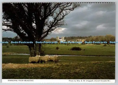 D309176 Wimborne from Meadows B M Chappell Church Knowle W I Dorset Federation o