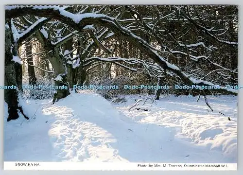 D309194 Snow ha ha M Torrens Sturminster Marshall W I Dorset Federation of Women