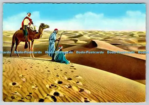 D309274 Ägypten Aussichtspunkt in der Wüste Lehnert und Landrock K Lambelet Kairo Nr 92