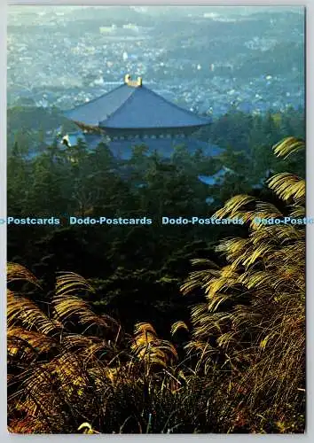 D306648 Fernansicht des Todaiji-Tempels
