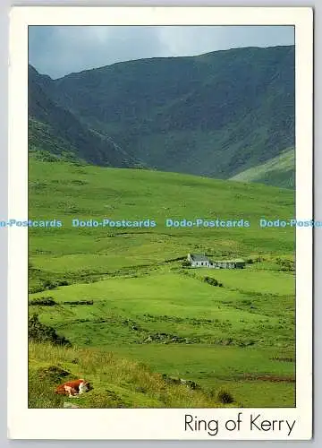 D306650 Ring of kerry Peter Zoller Insight Ireland 1989