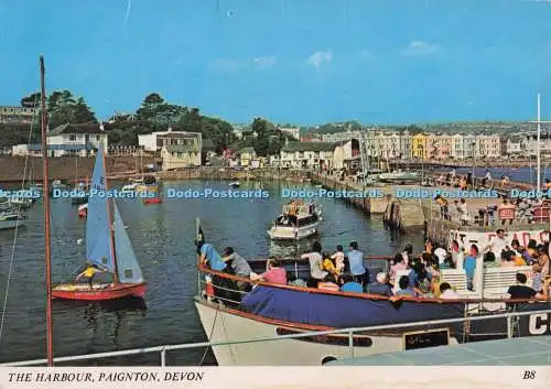 D300690 Paignton Devon The Harbour Ashton Reed Europa Karten 1985