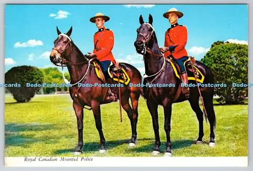 D309278 Kanada Quebec Montreal Royal Canadian Mounted Police Pferde Benjamin Mon