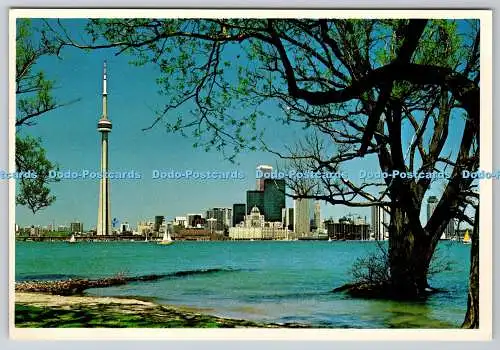 D309280 Kanada Ontario Toronto E Otto Milserv Royal Specialty Sales 23280R Postc
