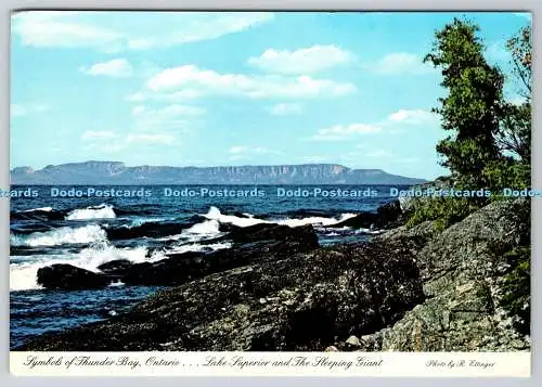 D309282 Ontario Symbole des Thunder Bay Lake Superior und schlafender riesiger Retting