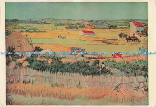 D300697 Maisfelder in der Provence Vincent Van Gogh The Medici Society