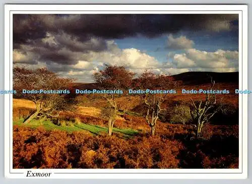 D309332 Exmoor Storm braut sich über Dunkery P Hendrie Beric Tempest Farbkarte Gre