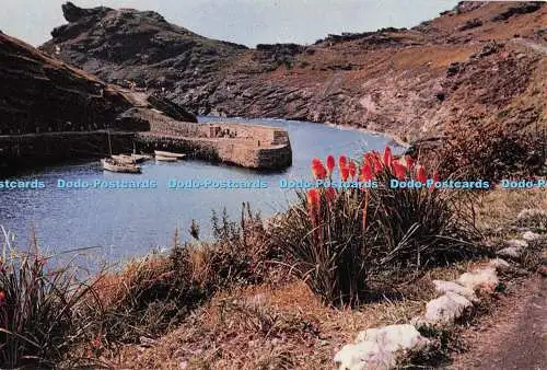 D300761 Cornwall Boscastle Harbour J Arthur Dixon Newport I W England