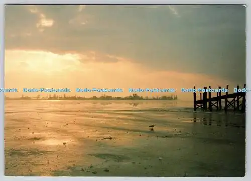 D309392 Die Bodenseelandschaft Die Insel Reichenau im winterlichen Abendlicht Lo