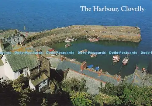 D300805 Clovelly The Harbour J Salmon Sevenoaks Kent