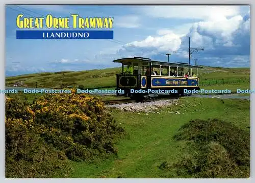 D309410 Wales Conwy County Borough Llandudno Great Orme Tramway Celtic Picture L