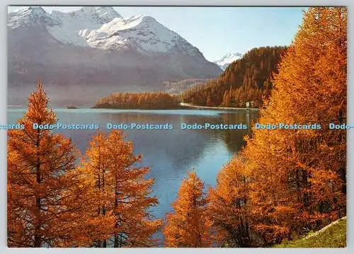 D309482 Schweiz Silsersee mit La Margna Engadin Stehli Nr 2731 Ak