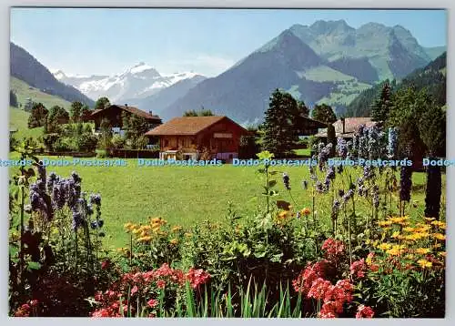 D309497 Schweiz Bern Gstaad Stehli Nr 2596 Ak