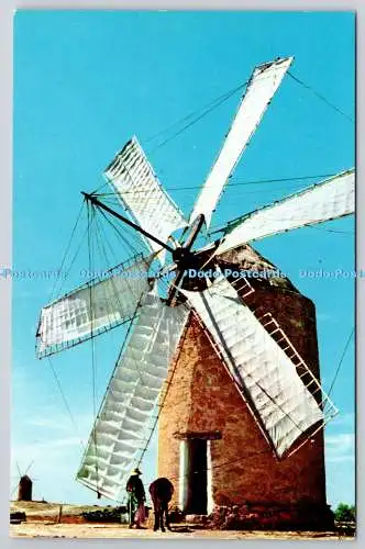 D306877 Formentera Baleares Mill Campana Libreria Verdera Ibiza