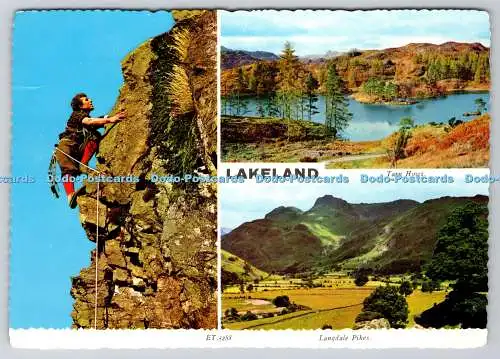 D303546 Lakeland Tarn Hows Langdale Pikes CoBLTD Bamforth Holmfirth National Tru