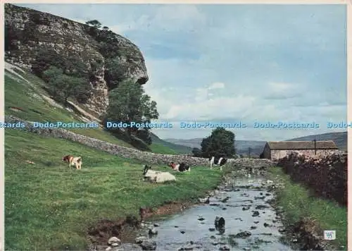 D300946 Yorkshire Wharfedale Kilnsey Crag Walter Scott Bradford