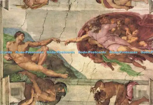 D300966 Erschaffung Adam Sixtinische Decke Michelangelo Giusti di Becocci