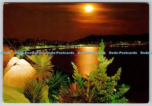 D303578 Espana Benidorm Vista desde la Cala a la Luz de la Luna Hermanos Galiana
